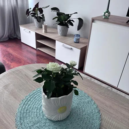 Family Garden كولوبرزيغ